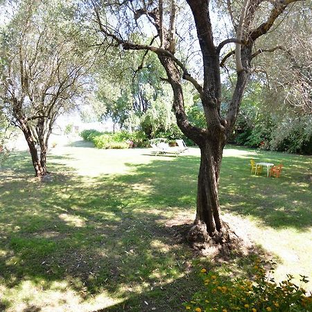 Casa Romana Viareggio Bagian luar foto