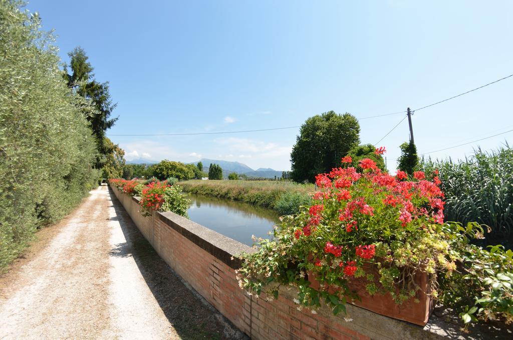 Casa Romana Viareggio Bagian luar foto