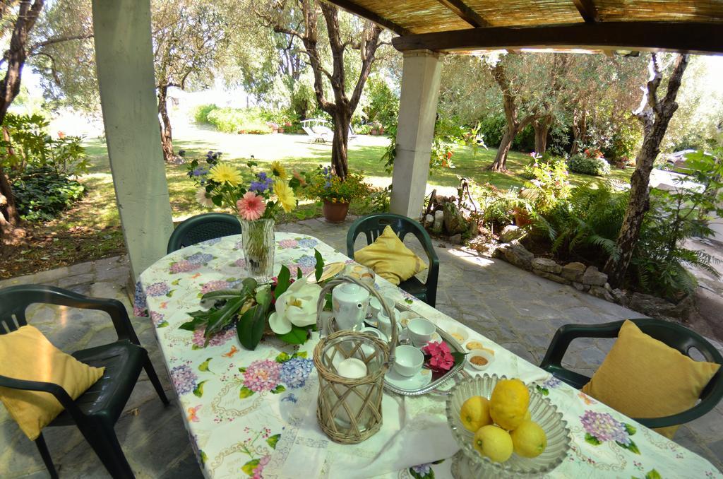 Casa Romana Viareggio Bagian luar foto