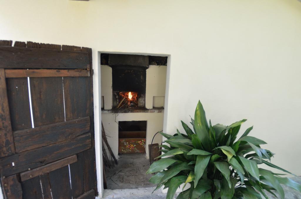 Casa Romana Viareggio Bagian luar foto